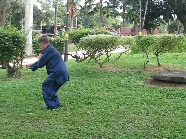 Wu Yu Xiang Style Taijiquan